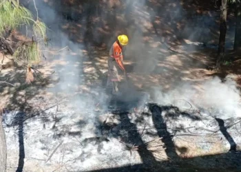 Atiende PC Municipal reporte de incendio de pastizal en Rancho Nuevo