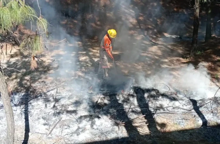 Atiende PC Municipal reporte de incendio de pastizal en Rancho Nuevo