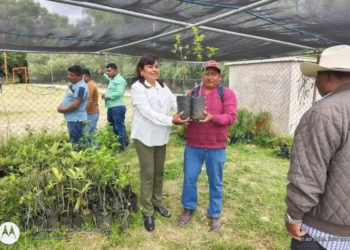 Impulsa Ayuntamiento de SCLC fortalecimiento productivo con entrega de plantas frutales
