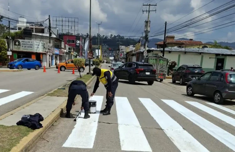 Refuerzan señalización vial para proteger a peatones en SCLC