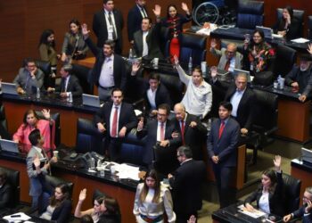 Senado abre camino a la regulación de la IA: cárcel por “infracciones gravísimas”