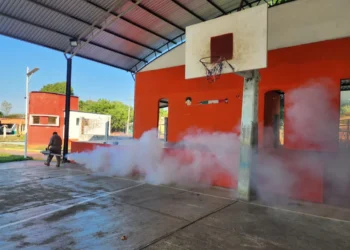Chiapas registra 76 % de reducción en casos de dengue
