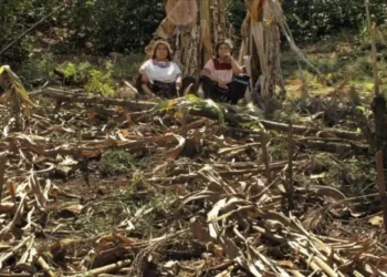 Memoria de mujeres tsotsiles en Chiapas llega a la Cinemateca Luis Buñuel