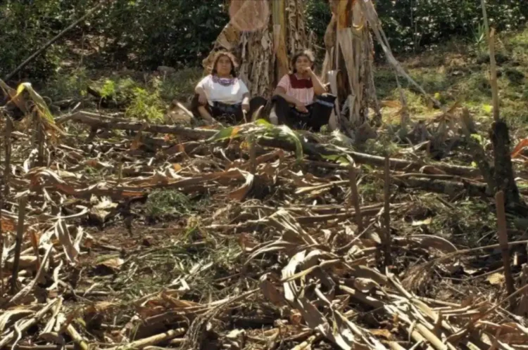 Memoria de mujeres tsotsiles en Chiapas llega a la Cinemateca Luis Buñuel