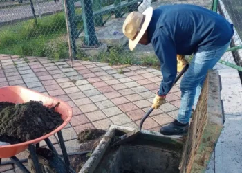 Limpieza preventiva en Sedem