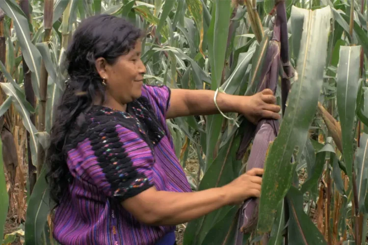 Desde Chiapas a CINETECA NL: mujeres indígenas construyendo libertad y esperanza