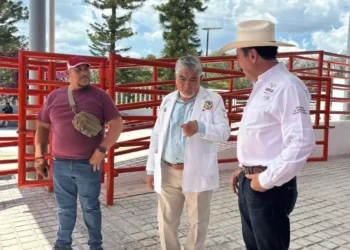 Comitán tendrá uno de los rastros TIF más modernos del sureste mexicano