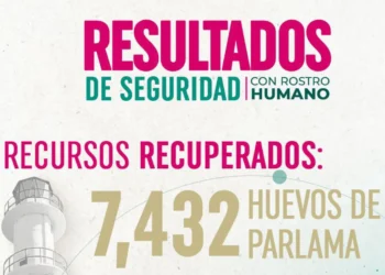 SSP recupera más de 7 mil huevos de parlama y fortalece la protección ambiental en Chiapas