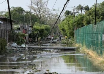 Tromba en Oaxaca provoca caída de postes de luz y árboles