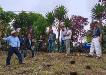 Continúan acciones en favor de la cafeticultura de la zona alta de Tapachula 