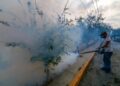 Aumentan a 2 mil 703 los casos de dengue en México