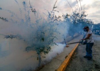 Aumentan a 2 mil 703 los casos de dengue en México