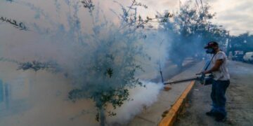 Aumentan a 2 mil 703 los casos de dengue en México