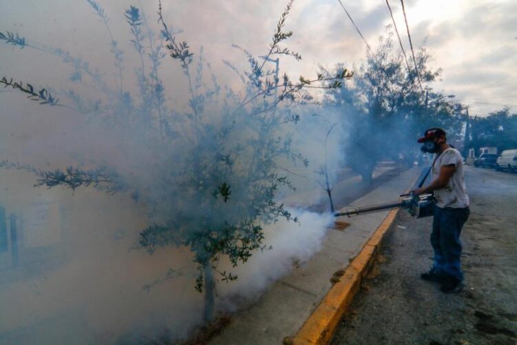 Aumentan a 2 mil 703 los casos de dengue en México
