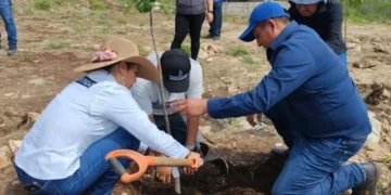En Berriozábal, Fiscalía Ambiental participa en Jornada Estatal de Reforestación