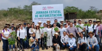 Municipios de Chiapas se unen por la restauración ambiental con Jornada Simultánea de Reforestación