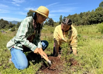 Más de 600 árboles fortalecen la conservación del Valle de Jovel en jornada de reforestación