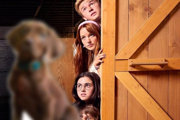 Scooby-Doo sale de las sombras: Netflix revela cómo luce en el live action