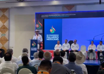 Propone Chiapas refinadora de aceite de palma para fortalecer al Sur-Sureste