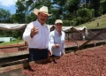Reconoce Secam modelo sustentable de producción de cacao fino en Chiapas