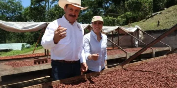 Reconoce Secam modelo sustentable de producción de cacao fino en Chiapas