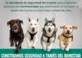 SSP fortalece el bienestar y la inclusión mediante la caninoterapia