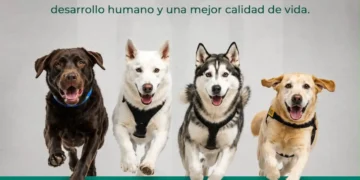 SSP fortalece el bienestar y la inclusión mediante la caninoterapia