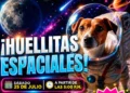 “Huellitas Espaciales” donde el amor por los animales y la divulgación científica se encuentran