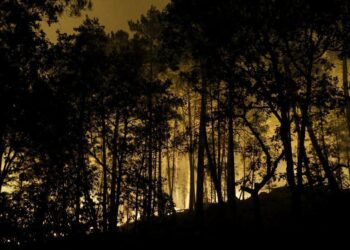 Incendio arrasa más de mil 300 hectáreas del bosque de Fontainebleau, cerca de París