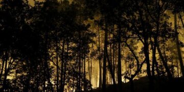 Incendio arrasa más de mil 300 hectáreas del bosque de Fontainebleau, cerca de París