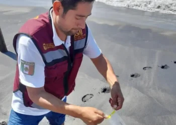 Las playas de Chiapas son seguras para uso recreativo en este periodo vacacional