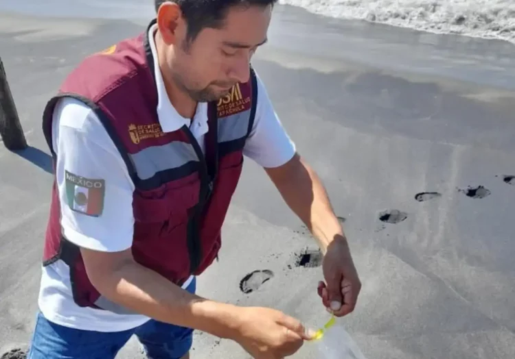 Las playas de Chiapas son seguras para uso recreativo en este periodo vacacional