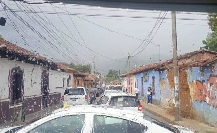 Ayuntamiento activa acciones preventivas 