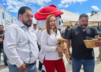 Inicia con éxito la Primera Campaña de Esterilización Canina y Felina en SCLC