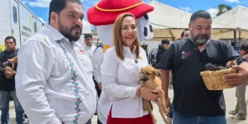 Inicia con éxito la Primera Campaña de Esterilización Canina y Felina en SCLC