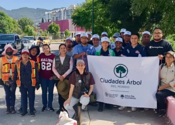 Concluye con éxito el Festival del Árbol 