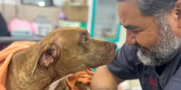 Ayuntamiento de SCLC reafirma compromiso con la protección y bienestar animal