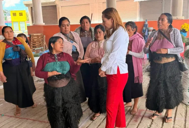 Vendedoras de juncia cuentan con mejores condiciones en el Mercado de la Zona Norte: Fabiola Ricci