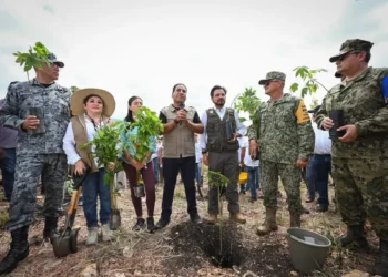 Chiapas se suma a la Jornada Nacional de Reforestación impulsada por Claudia Sheinbaum