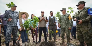 Chiapas se suma a la Jornada Nacional de Reforestación impulsada por Claudia Sheinbaum