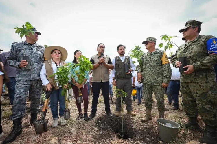 Chiapas se suma a la Jornada Nacional de Reforestación impulsada por Claudia Sheinbaum