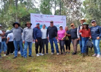 FGE se suma a la Jornada de Nacional de Reforestación en SCLC, Bochil y Teopisca