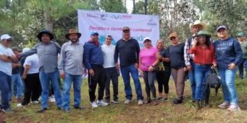 FGE se suma a la Jornada de Nacional de Reforestación en SCLC, Bochil y Teopisca