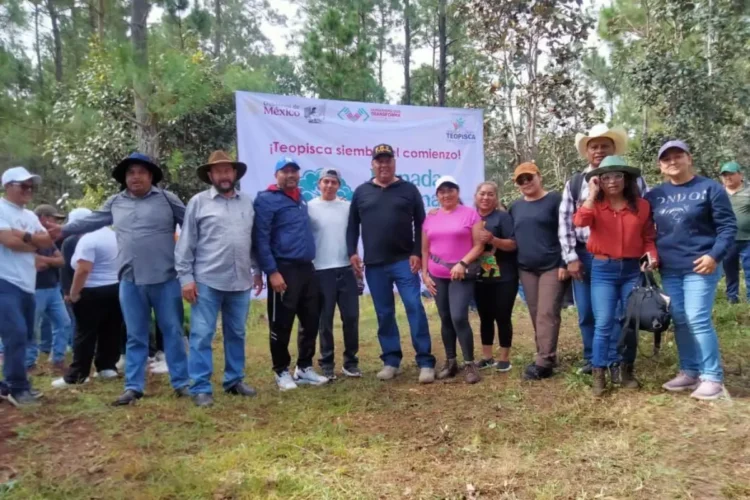 FGE se suma a la Jornada de Nacional de Reforestación en SCLC, Bochil y Teopisca