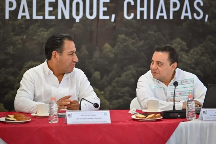 Instituciones suman esfuerzos por la paz