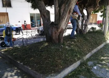 Ecología Municipal fortalece el mantenimiento del Centro Histórico 