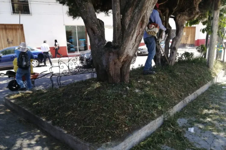 Ecología Municipal fortalece el mantenimiento del Centro Histórico 