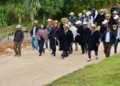 Yaalboc fortalece su infraestructura con nueva obra de pavimentación