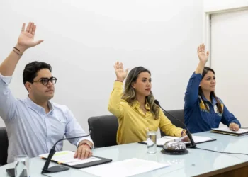 Trabajando en unidad, por el bienestar de los chiapanecos: Marcela Castillo