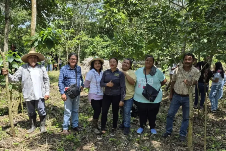 CECyT 24 Benemérito de las Américas impulsa restauración ecológica con especies nativas